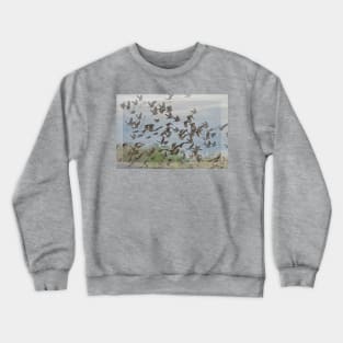 Scattering of Blackbirds Crewneck Sweatshirt